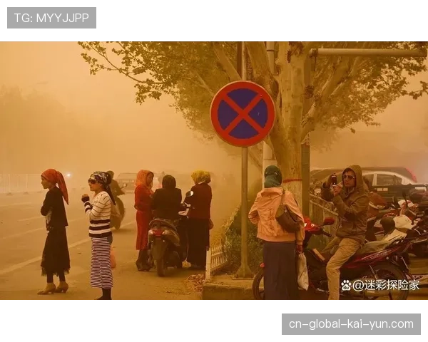 阿灵顿休斯敦蒙特雷成高温风险核心区 通用热气候指数或超49.5摄氏度